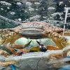 ตลาดบันซ้านโซน Sea Food - ตลาดสดบันซ้าน ตลาดสด ภูเก็ต ตลาดบันซ้านโซน Sea Food - ตลาดสดบันซ้าน ตลาดสด ภูเก็ต