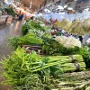 ตลาดขายผักสด ราคาถูก ป่าตอง - ตลาดสดบันซ้าน ตลาดสด ภูเก็ต