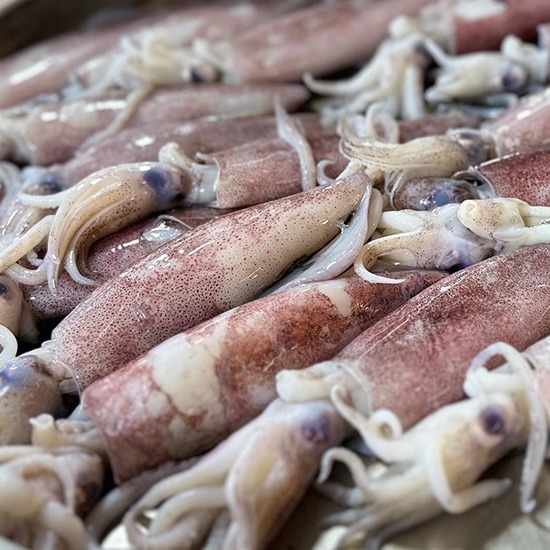 อาหารทะเล ซีฟู้ดสดๆ ราคาถูก ตลาดสดป่าตอง อาหารทะเล ซีฟู้ดสดๆ ราคาถูก ตลาดสดป่าตอง 